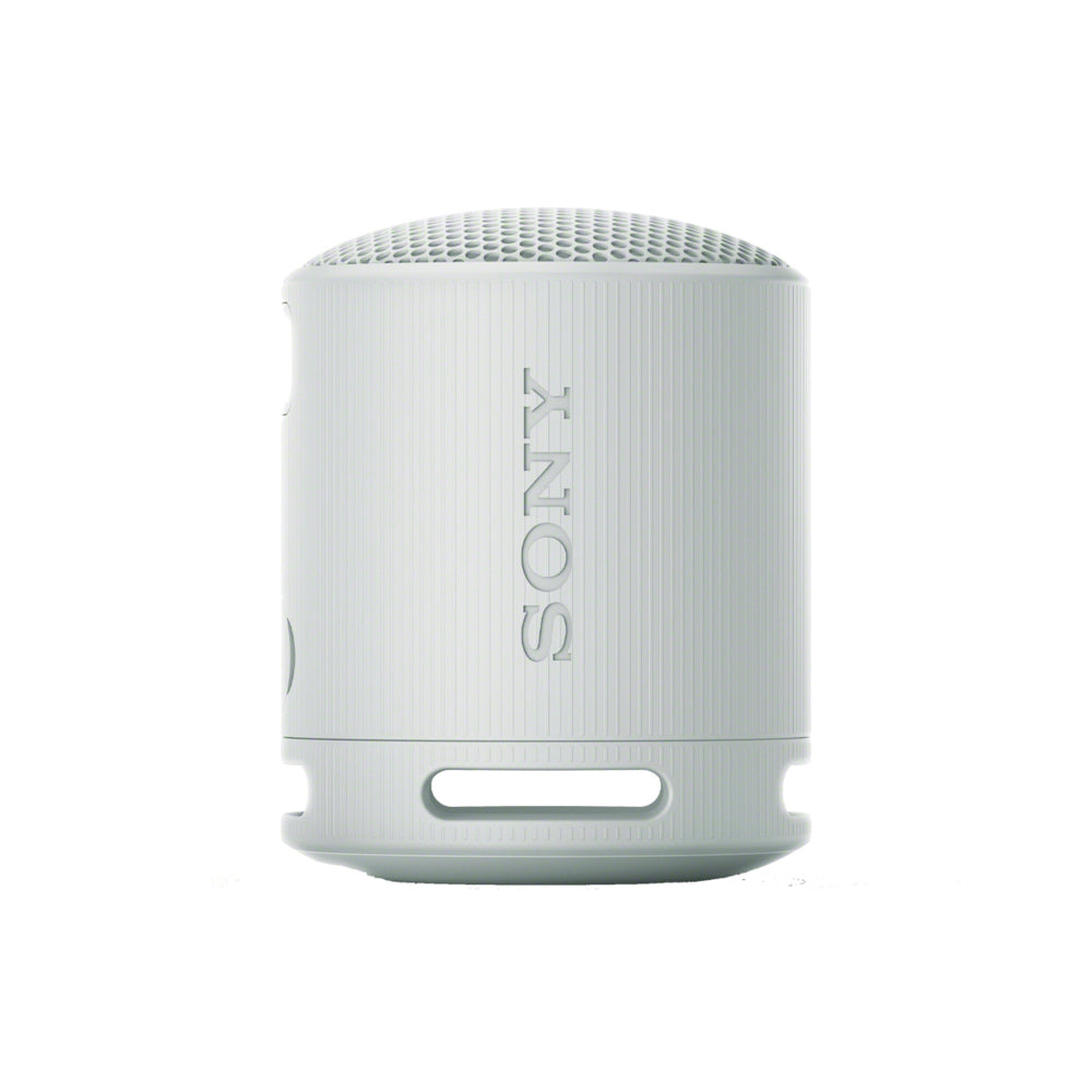 Sony SRSXB100 Wireless Speaker - Grey | staples.ca
