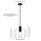 Hudson&Canal Henri 10" Wide Pendant with Glass Shade - Blackened Bronze/Clear-Includes an adjustable 8 ft. cord