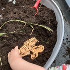 Yellow Door Dig and Discover - Ankylosaurus & Tyrannosaurus Rex-8