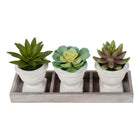 Monarch Specialties 9373 6" Tall Artificial Succulents - Beige Pots - Set of 3-Crafted from high-quality materials, these artificial plants offer a detailed realistic look with varied leaf shapes and natural color tones