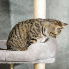 PawHut 85" - 101" Floor-To-Ceiling Cat Tree Tower Activity Center - Grey-Suitable for cats under 10 lbs (5 kg) 