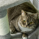 PawHut 56" Cat Tree Tower with Condo, Hammock and Sisal Scratching Posts - Grey-A modern design with natural colour tones, matching well with existing decor 