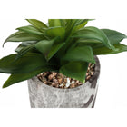 Monarch Specialties 6" Artificial Indoor Succulent - Table - Grey Cement Pots - Set of 2-5 year limited warranty against manufacturer's defects