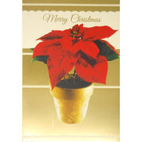 Rosedale General Christmas Greeting Cards/Envelopes - 5-1/2" x 8" - Red Flower - 12 Pack-Card shop quality greeting cards