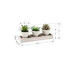 Monarch Specialties 9373 6" Tall Artificial Succulents - Beige Pots - Set of 3-Made with environmentally friendly materials, this decorative set works beautifully as an accent for the home or office. 5 year limited warranty included. for indoor use only