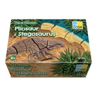 Yellow Door Dig and Discover - Pliosaur & Stegosaurus-Dive into the fascinating prehistoric world with this exciting fossil set featuring the deep-sea Pliosaur and the formidable Stegosaurus.