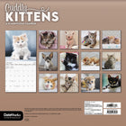 DateWorks 2026 16-Month Wall Calendar - 12" x 12" - Cuddly Kittens - English-13 High Quality Images printed on Premium Paper