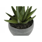 Monarch Specialties 6" Artificial Indoor Succulent Green Plants - Table - Grey Cement Pots - Set of 3-No assembly required and backed by a 5 year limited warranty against any defects for your satisfaction and enjoyment