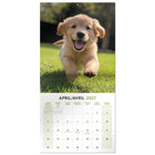 Mead 2027 Decorative Wall Calendar - 12" x 12" - Puppies - Bilingual-Spacious monthly grids provide room for writing notes and daily reminders