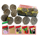 Yellow Door Let's Investigate Farmyard Footprints Stone 8-Piece Set-Contains eight double-sided stones (3 inches)