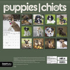 DateWorks 2026 16-Month Wall Calendar - 12" x 12" - Puppies - Bilingual-13 High Quality Images printed on Premium Paper