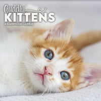 DateWorks 2026 16-Month Mini Wall Calendar - 7" x 7" - Cuddly Kittens - English-7.00" x 7.00"