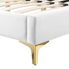 Modway Current Performance Velvet Twin Platform Bed with Gold Metal Legs - White-Assembly Required