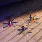 HEX Bots Skitter Bot Spider STEM Toy-Sensory Kid Toys: The Skitter Bots are the perfect sensory toy for kids and pets, with light-up fun designs and insect-like crawling motion to keep them engaged