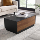 Modway Holden 36" Coffee Table - Black Walnut-Push-to-Open Cabinetry