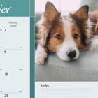 Blueline 2027 Man's Best Friend Monthly Desk Pad Calendar - 22" x 17" - Bilingual-One month per sheet, one block per day
