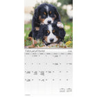 DateWorks 2026 16-Month Mini Wall Calendar - 7" x 7" - Puppies - Bilingual-Animals