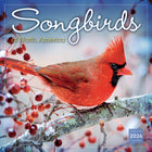 Sellers Publishing Inc. 2026 Wall Calendar - Songbirds - English-Large, easy to use, 12" x 12" full-page grids with small at-a-glance month grids 