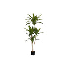 Monarch Specialties 51" Artificial Indoor Dracaena Tree - Floor - Black Pot-Add an eye catching burst of greenery to any floor of your home or office with this 51" tall artificial indoor dracaena tree in a 5" black pot