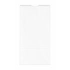Reliabag No.5 Prescription Bag - 5.25" W x 3.25" D x 11" H - White - 1000 Pack-Designed for Pharmacy Use – Ideal for holding prescription bottles, medication containers, and small pharmacy retail items.