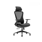 Kopplen Ergo Chair with 9-Point Adjustability - Black-Ergonomic Integrity & Customizable Seating