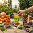 Montezuma’s Chocolate Variety Bars - Lime & Sea Salt, Orange & Coffee and Cocoa Nibs - 90 g - 3 Pack-Includes Sea Dog Dark Chocolate with Lime & Sea Salt.