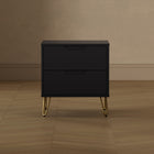 Manhattan Comfort Avira 20" Mid-Century Modern 2-Drawer Nightstand - Black-Home Assembly Required (All Hardware Included)