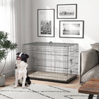 PawHut 41" L Folding Metal Dog Kennel with 2 Doors, Tray and Cushion - Black-Removable ABS tray for simple cleaning 