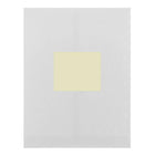 JAM Paper Mailing Address Labels, 3 1/3 x 4, Ivory, 2 sets of 120 (17966069g)-Finish: matte