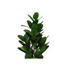 Monarch Specialties 28" Artificial Indoor Garcinia Tree - Floor - Black Pot-6