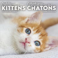DateWorks 2026 16-Month Mini Wall Calendar - 7" x 7" - Cuddly Kittens - Bilingual-7.00" x 7.00"