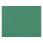 Pacon 4-Ply Railroad Board - 22" x 28" - Holiday Green - 25 Pack-High-quality 4-ply railroad board, ideal for construction, mounting, stenciling, posters or anchor charts