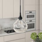 Hudson&Canal Ida 9.5" Wide Pendant with Glass Shade - Matte Black/Clear-Handcrafted matte black finish is applied to the gourd metal base