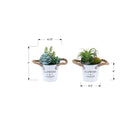 Monarch Specialties 9361 7" Tall Artificial Succulent - White Metal Pots - Set of 2-Designed for lasting confidence, these artificial plants are backed by a 5-year limited warranty, ensuring long-term durability and style