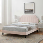 Modway Sienna Performance Velvet Full Platform Bed with Black Wood Legs - Pink-Wood Slat Support System
