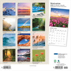 Plato 2026 Motivation Monthly Hanging Wall Calendar - 12" W x 24" H  - English-Durable Construction - Sturdy, high-quality paper resists curling and ink bleed-through, and durable binding ensures longevity throughout the year