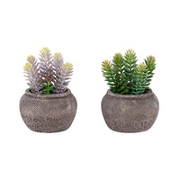 Monarch Specialties 9364 8" Tall Artificial Succulents - Brown Cement Pots - Set of 2-Add a modern decorative touch with this set of 2 artificial plants, featuring 8" tall artificial succulents that bring a clean, contemporary look to any table, shelf, or surface