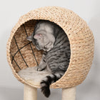 PawHut 39" Cat Condo with Sisal Scratching Post and Hanging Ball - Beige-Multi-level design satisfy your pet's desire to climb 