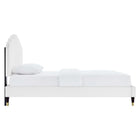 Modway Daisy Performance Velvet Queen Platform Bed with Wood Legs and Gold Metal Sleeves - White-Wood Slat Support System
