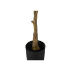 Monarch Specialties 52" Artificial Indoor Rubber Tree - Floor - Black Pot-No assembly required: product dimensions: 27 in. L x 25 in. W x 52 in. H