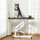 PawHut Height Adjustable Pet Grooming Table for Dogs - Black-Grooming arm is adjustable with nylon grooming loop, great for various sizes of pets
