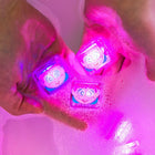 Glo Pals Licensed Characters - Abby Cadabby-4