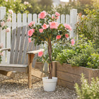 Outsunny 3' Decorative Artificial Rose Tree with Realistic Flowers - Pink-No watering or pruning needed, enjoy green space with zero maintenance 