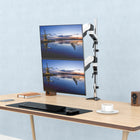 SHOPPINGALL Extra Long Vertically Stacked Dual Gas Spring Monitor Arm for 15”-32” Screens - SA-GA24L-White-11