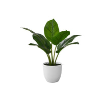 Monarch Specialties 17" Artificial Indoor Aureum - Table - White Pot-Add a stylish touch of greenery to any space with this 17" tall artificial indoor aureum plant in a white pot