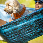 Grand Trunk TrunkTech Double Hammock - Nile-2 lightweight aluminum carabiners included