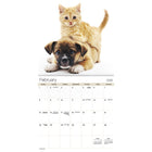 DateWorks 2026 16-Month Wall Calendar - 12" x 12" - Buddies - English-Animals