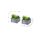 Monarch Specialties 9370 8" Tall Artificial Succulents - Grey Wooden Pots - Set of 2-Backed by a 5-year limited warranty, these artificial plants are designed for lasting quality and peace of mind