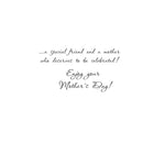 Mill Brook Studio Mother's Day Greeting Cards/Envelopes - 5-3/8" x 7-3/4" - To Friend - 18 Pack-Printed on premium uncoated paper
