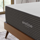 Modway Aveline 14" Memory Foam Queen Mattress-Stretch Knit Zipper Removable Cover
